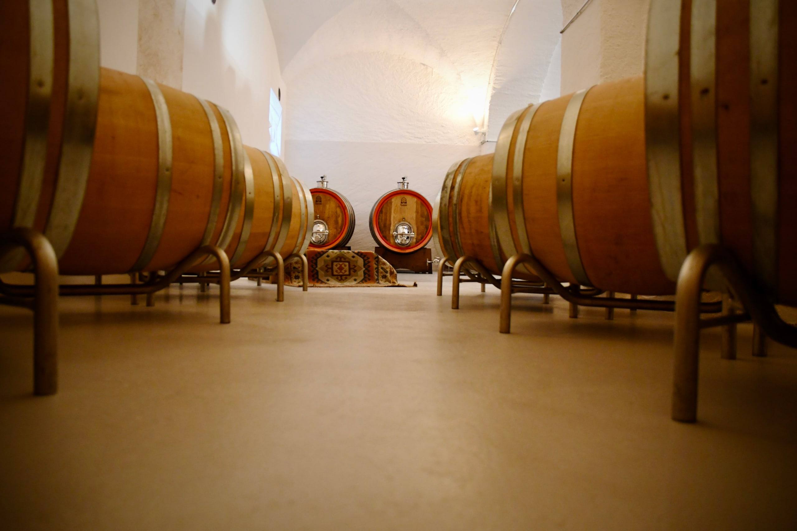 Botti di rovere nella cantina a volta bianca