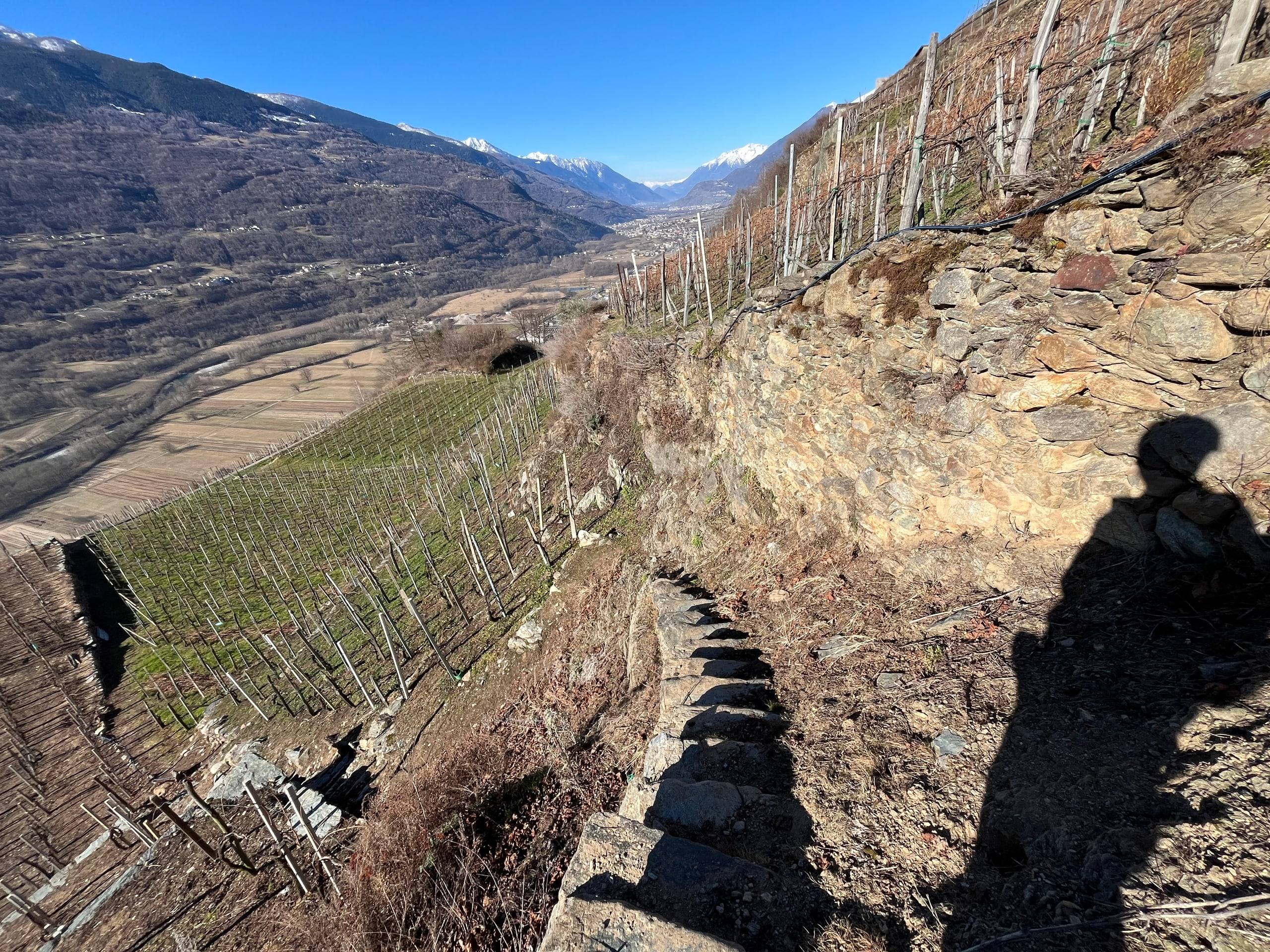 Muri a secco e scalini in pietra tra le terrazze vitate in inverno, con la Valtellina e le Alpi innevate sullo sfondo